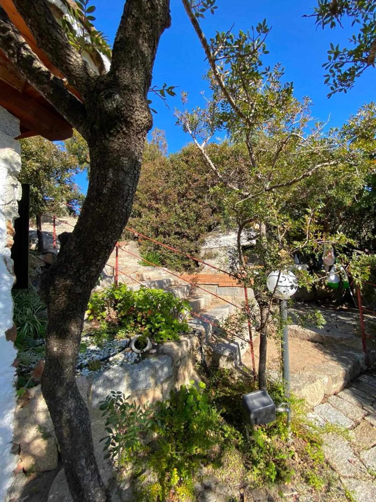 Sa Domu De Orri Al Mare Villa Tortoli Ngoại thất bức ảnh